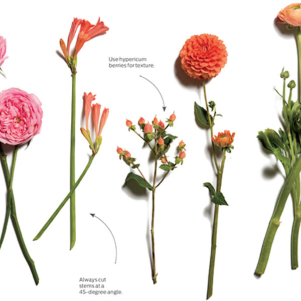 Weekly Flower Tip: Building the Bouquet 