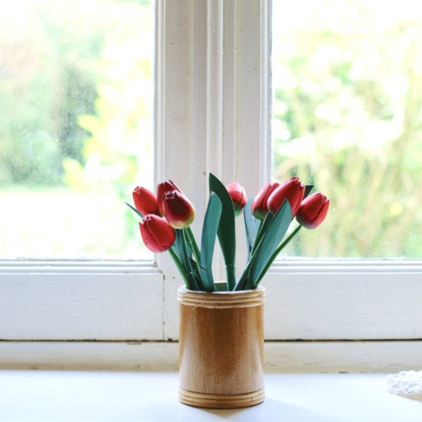 Weekly Flower Tip: Tulips!
