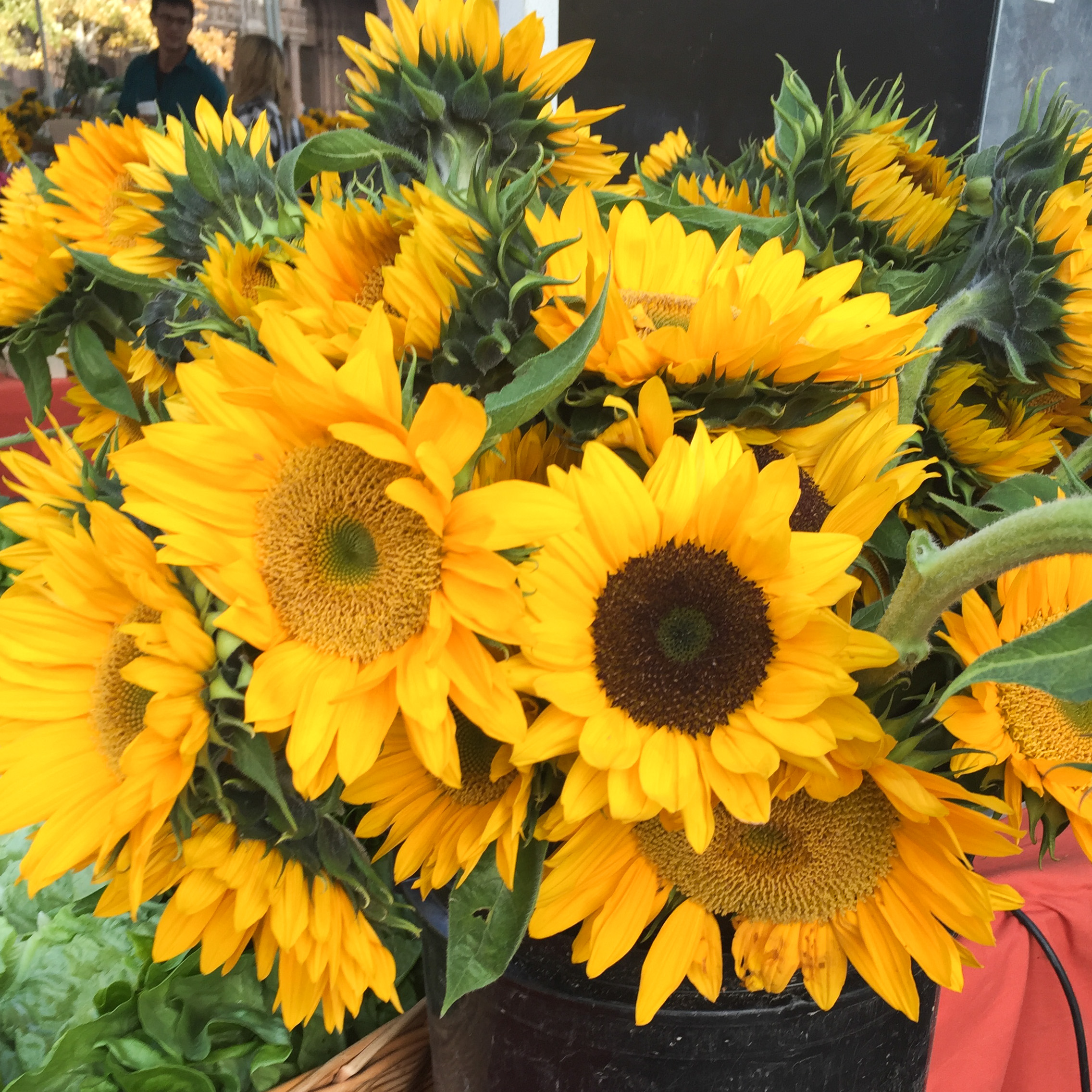 Oktoberfest with Flowers | Alice's Table